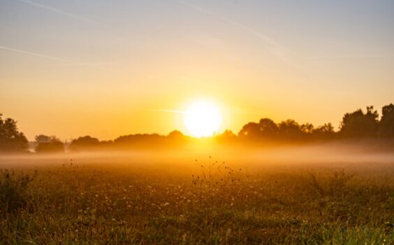 Le Ressuscité dans nos vies : lever les yeux vers Celui qui a été élevé